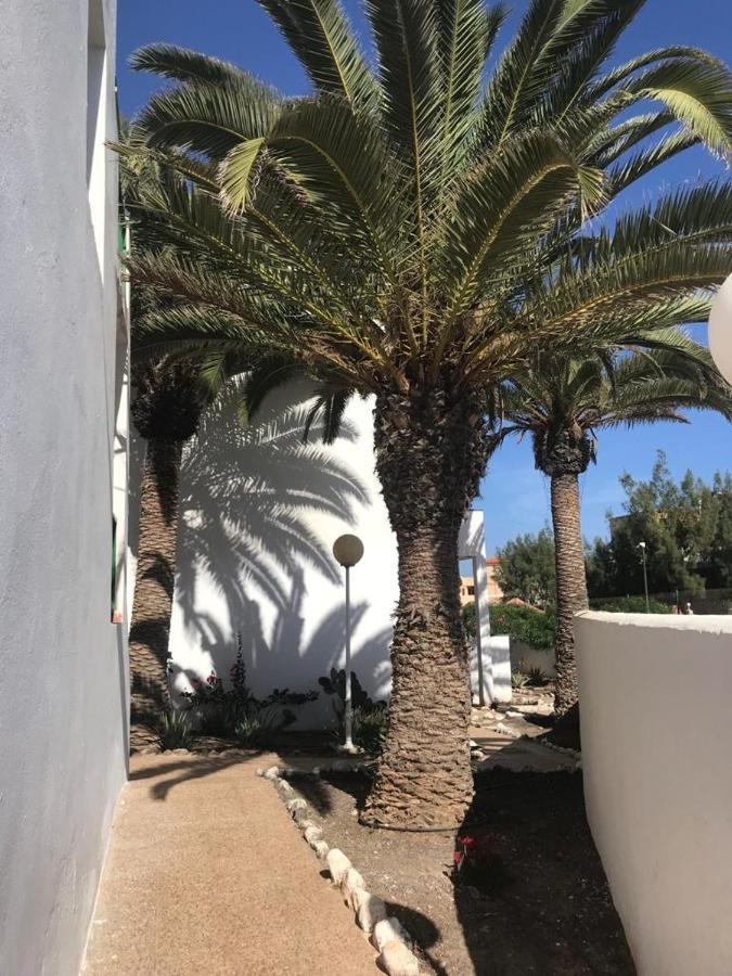 Casa Palmera Коста де Антигуа Екстериор снимка